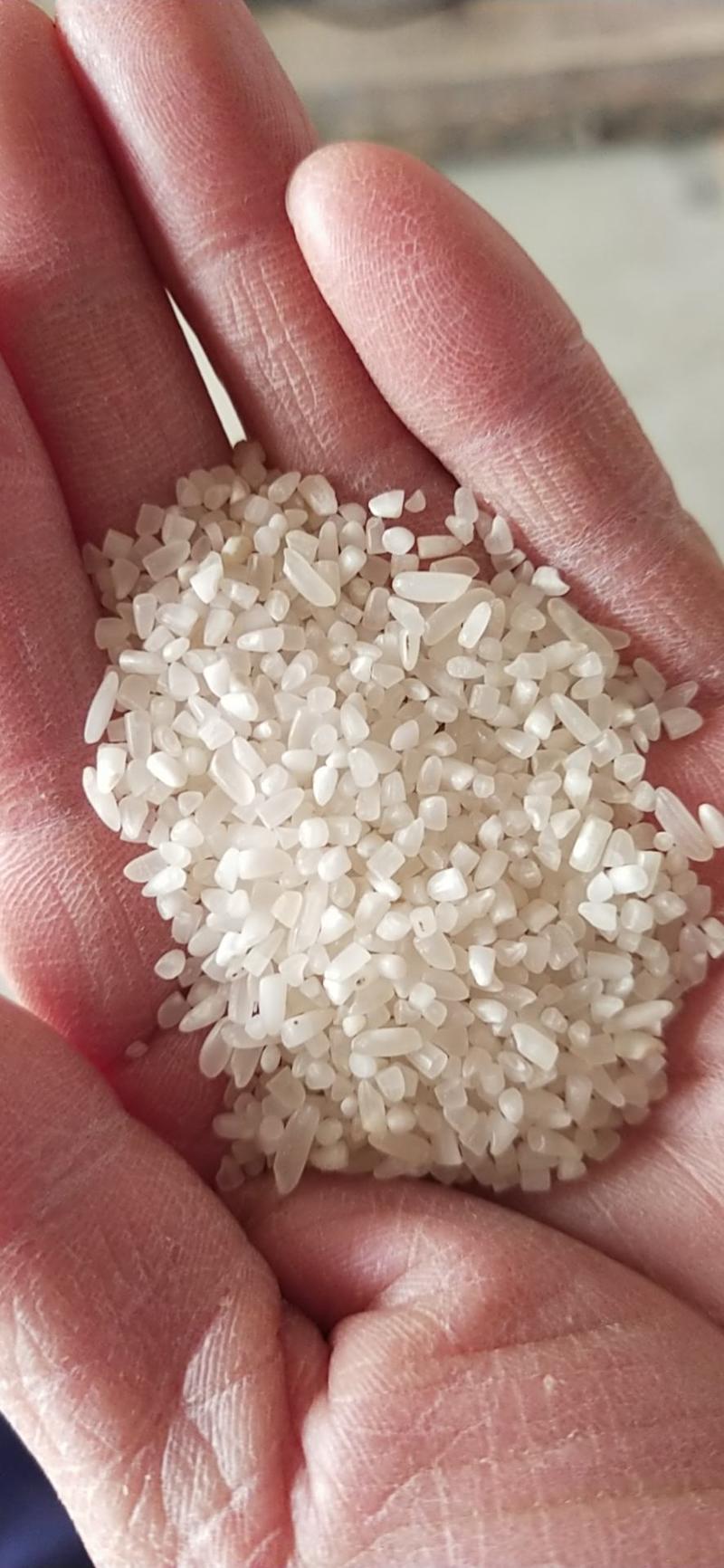 碎米碎大米做洒碎米大米50斤装