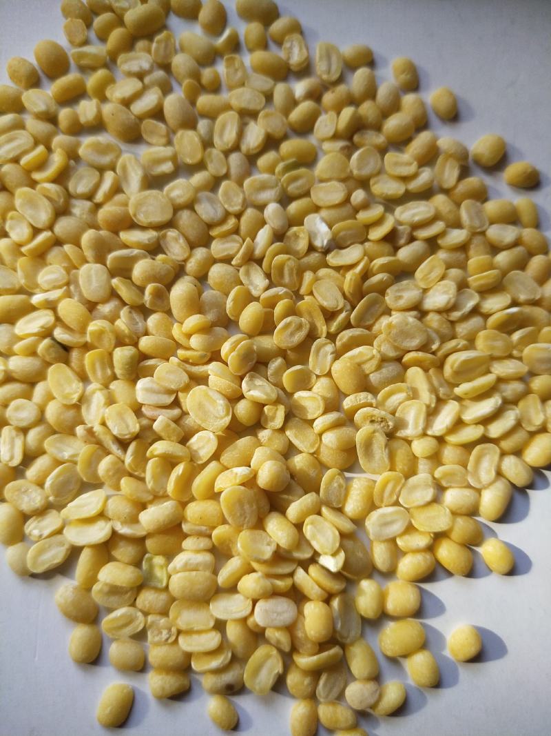 脱皮绿豆去皮绿豆脱皮绿豆瓣脱皮绿豆仁50斤装。