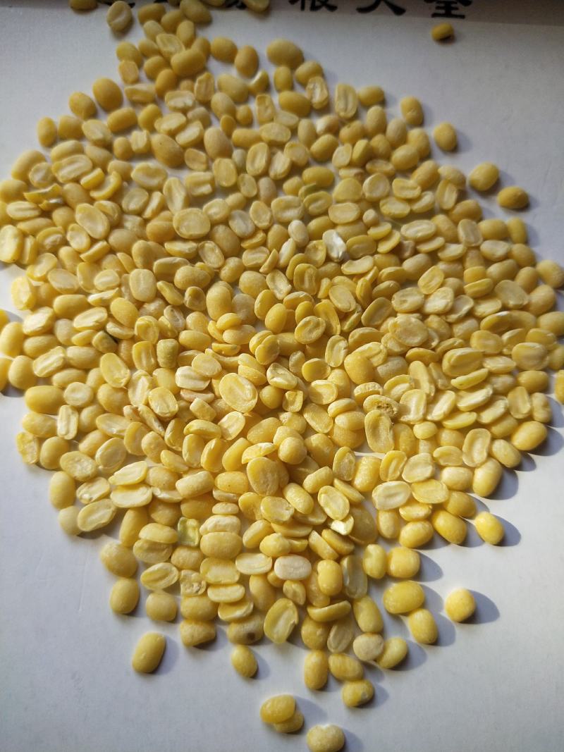 脱皮绿豆去皮绿豆脱皮绿豆瓣脱皮绿豆仁50斤装。