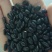 黑豆青仁黑豆大青仁黑豆黑豆黄仁50斤装