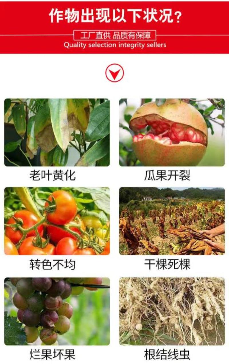 黄腐酸钾高钾黄腐酸钾桶装肥高钾冲施肥高钾水溶肥高钾高高钙