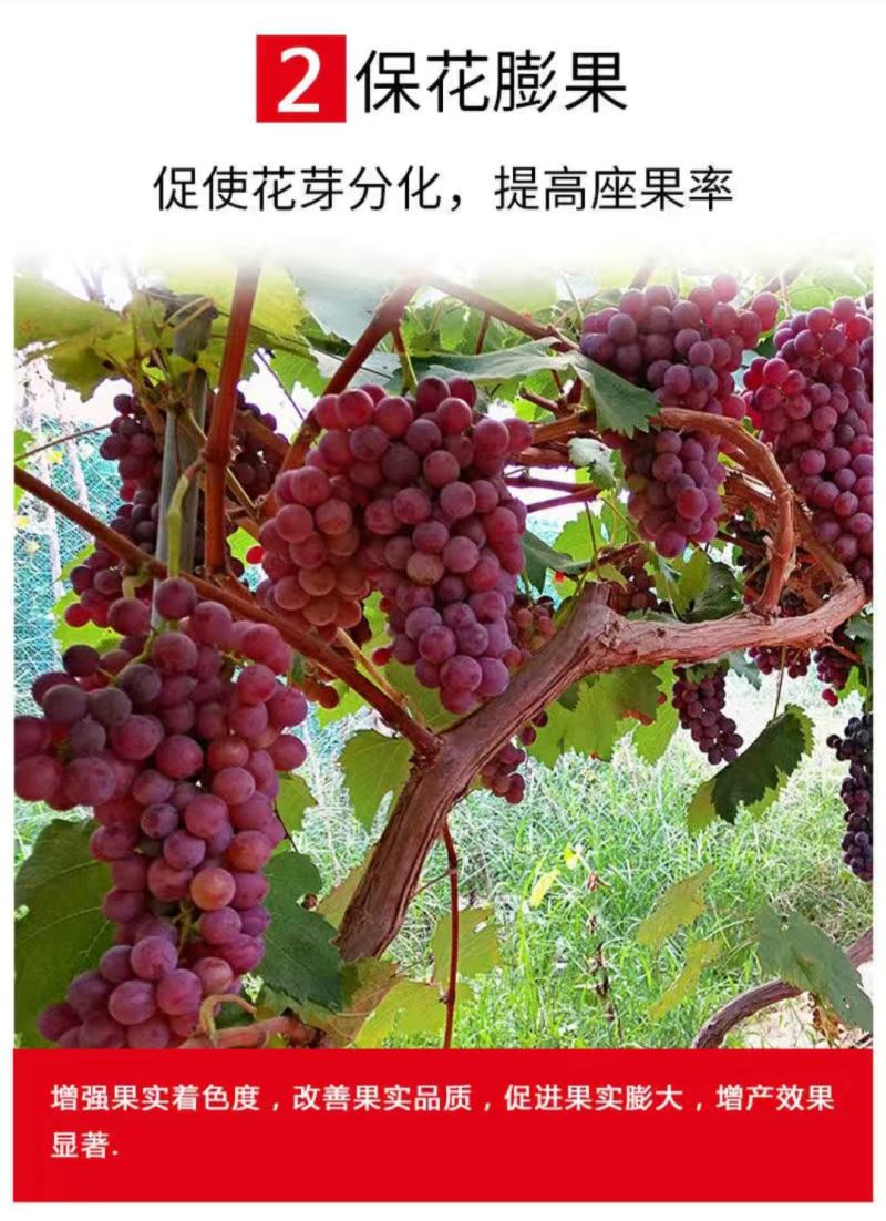 黄腐酸钾高钾黄腐酸钾桶装肥高钾冲施肥高钾水溶肥高钾高高钙