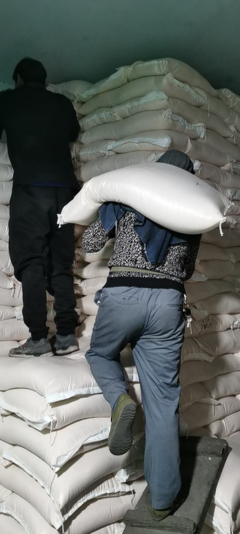 玉米沙，黄金粉