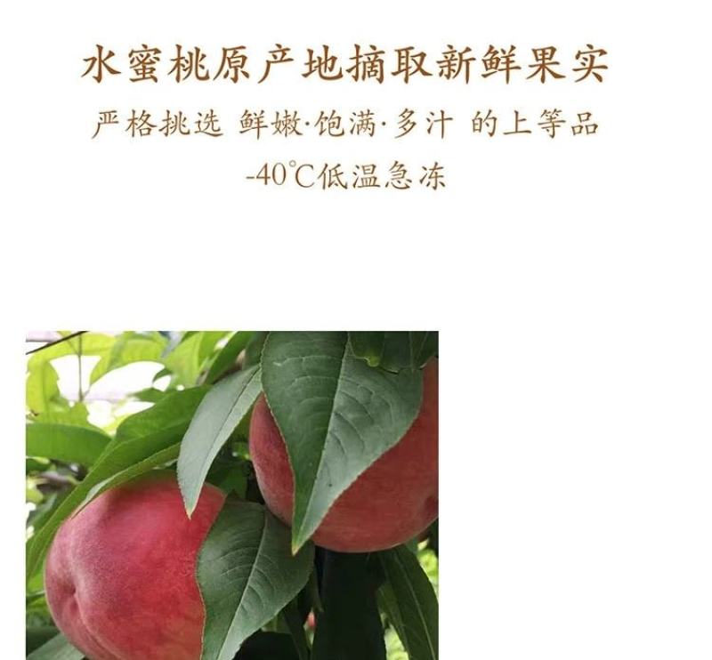 新鲜冻干水蜜桃干泡水50g白桃丁乌龙茶颗粒网红水果茶孕妇