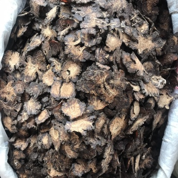 川芎片无硫川芎片生片熟片支持线上交易量大从优