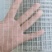 3040.8毫米粗1.27公分孔不锈钢防鸟网防鼠网