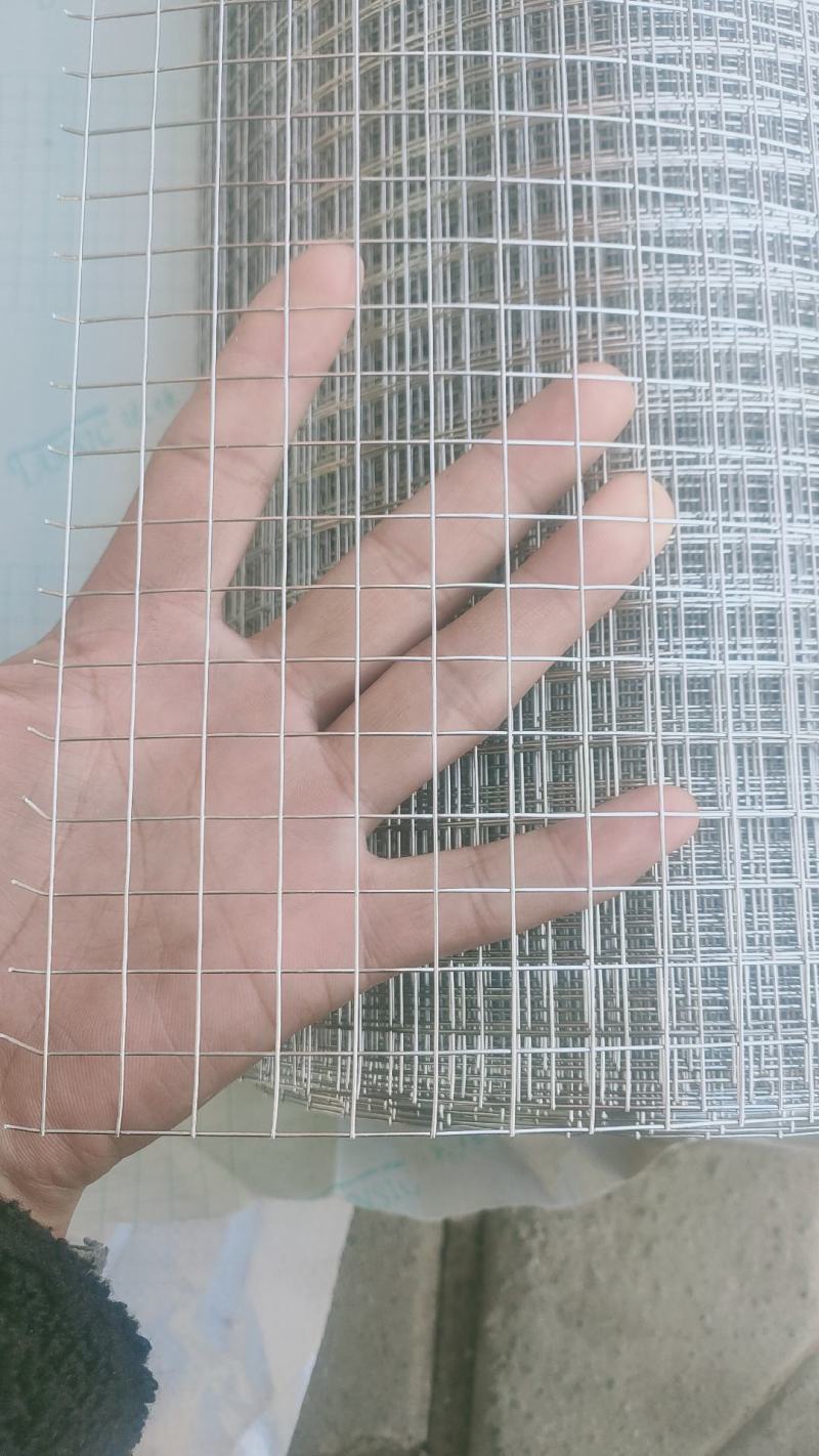 3040.8毫米粗1.27公分孔不锈钢防鸟网防鼠网