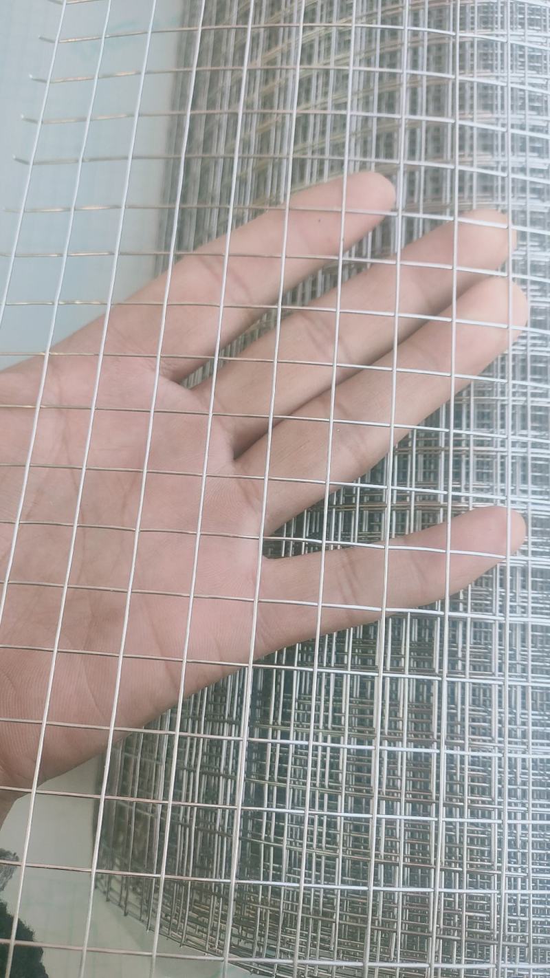 3040.8毫米粗1.27公分孔不锈钢防鸟网防鼠网
