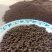 五灵脂名贵中药材