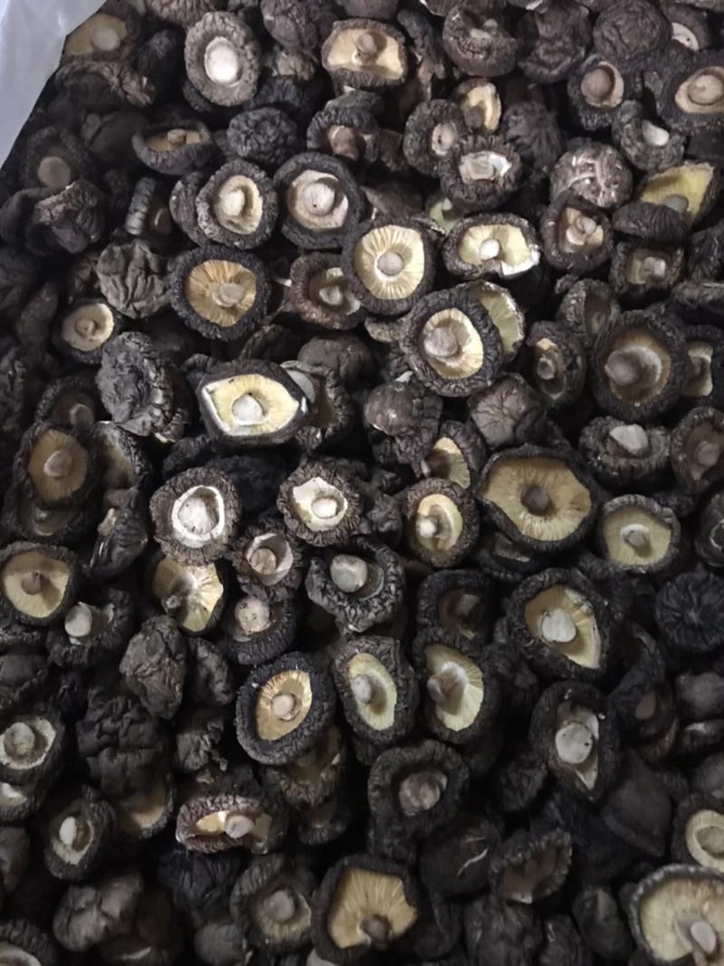 精选优质冬菇黑面香菇色鲜味香浓超干黑冬菇