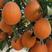 甜橙橙子自家果园，保质保量，货源充足，一手货源