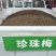 夏日开花绿篱灌木花期长种珍珠梅种子山高粱条子高楷子八本条