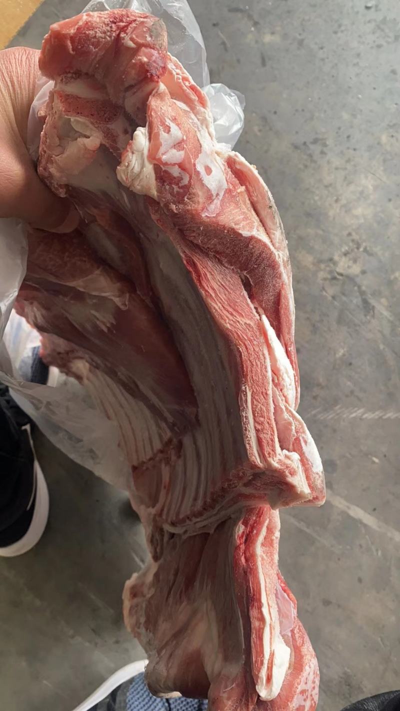 羔羊排，纯干纯瘦，烧烤专用，量大从优，质量保证。