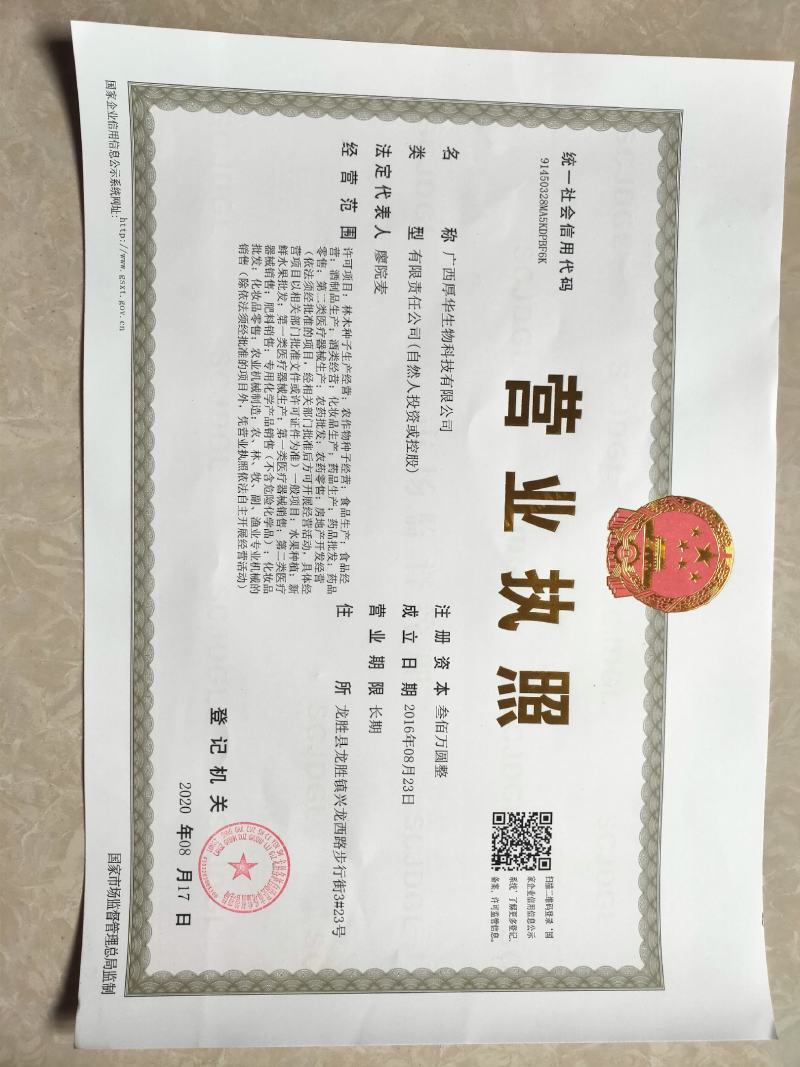 华俄航育1号纯甜大果-羊奶果树苗，用专业助您一举成功！