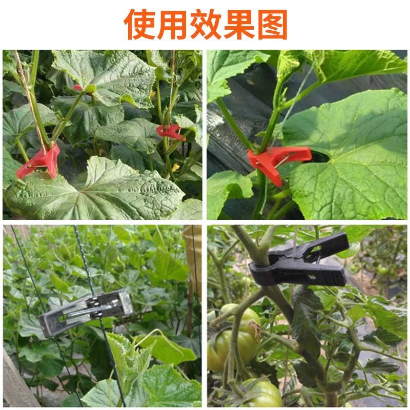 绑蔓夹吊秧夹吊蔓夹蔬菜夹西红柿夹熟料加厚大棚专用夹子