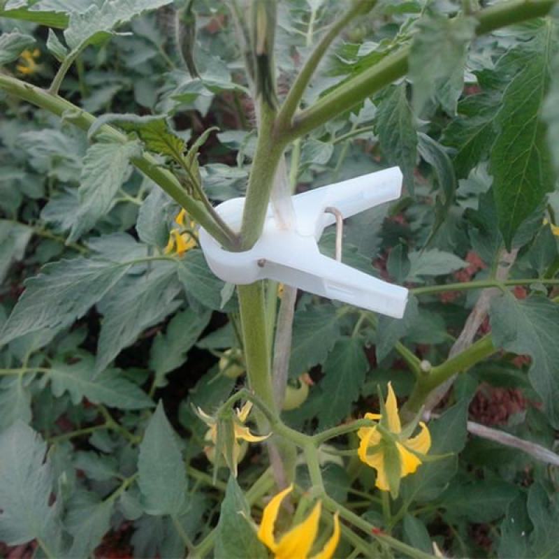 绑秧夹吊秧夹扶蔓夹蔬菜夹子塑料夹子加厚无味抗氧化大棚夹子