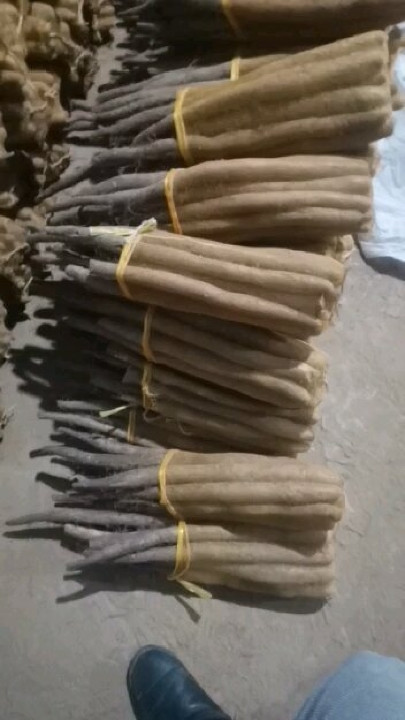 白玉山药，网袋货，货源充足，质量保证。