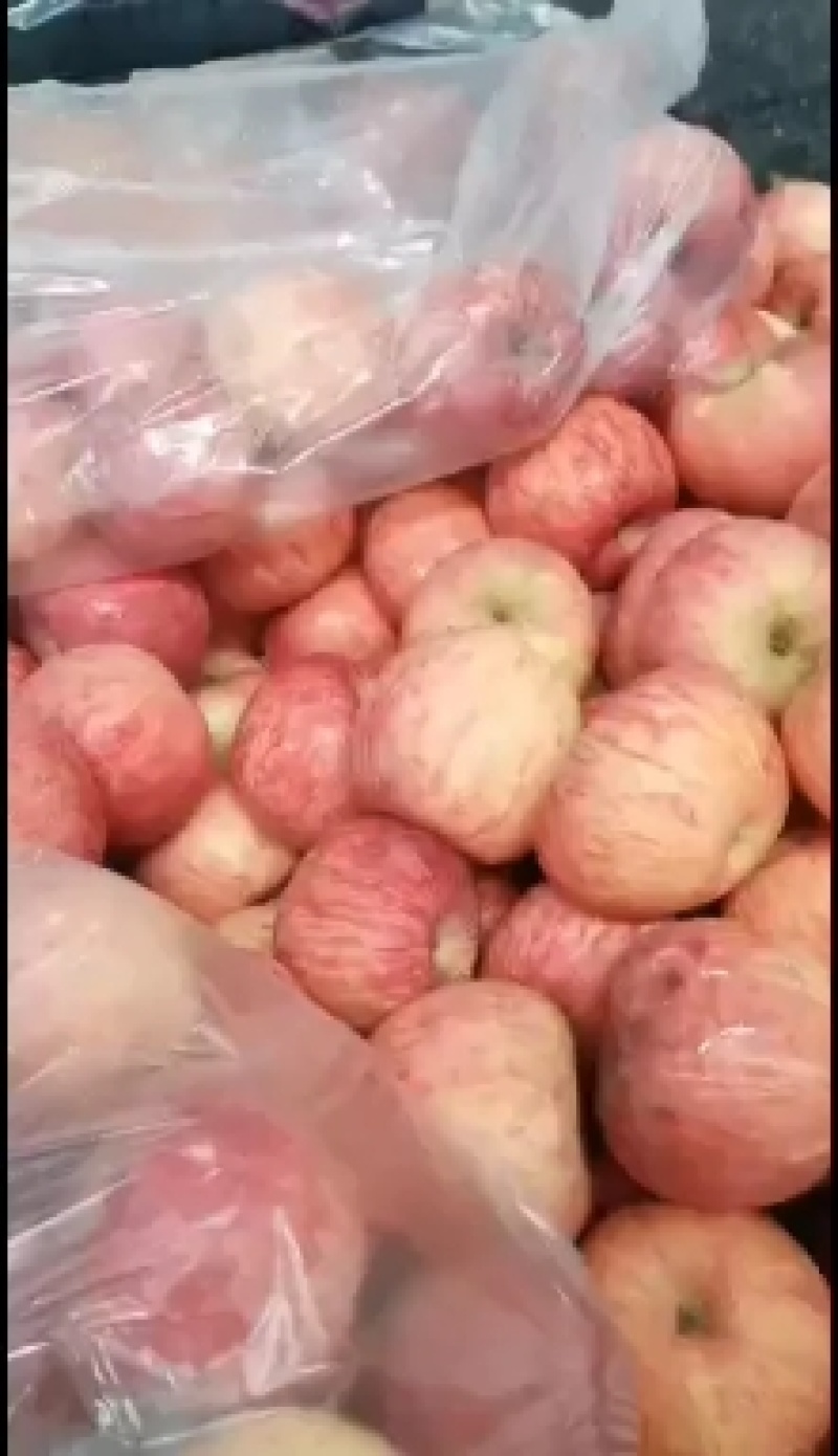 苹果红富士苹果质量好，价格优，产地直销，含糖量高。