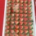 🍓丹东红颜草莓欢迎全国代理，商超批发商对接，欢迎电话联系