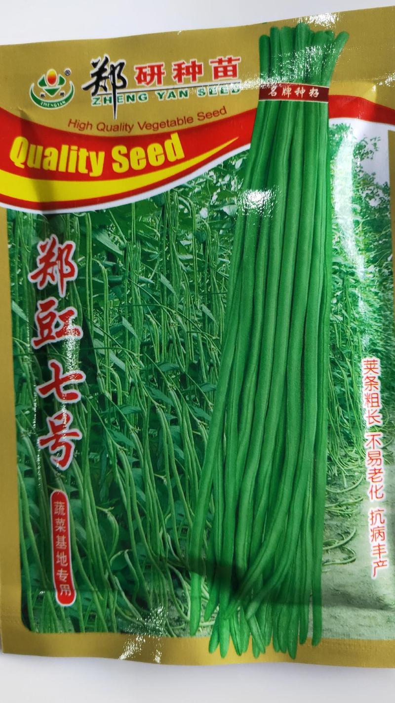 豆角种子条型好荚条翠绿色不易豉籽无鼠尾