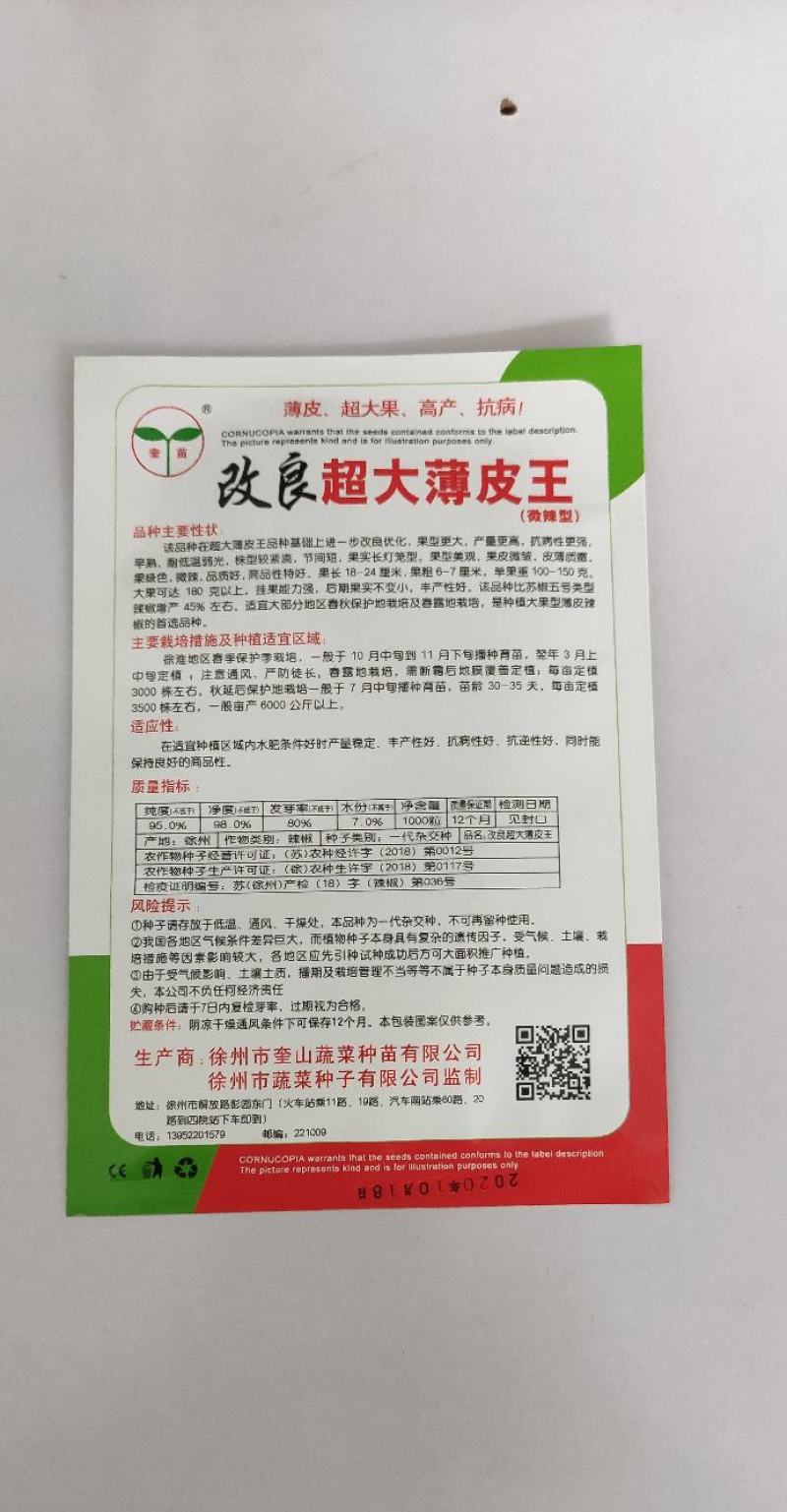 改良超大薄皮王辣椒种子早熟果型大皮薄果实长灯笼形产量高