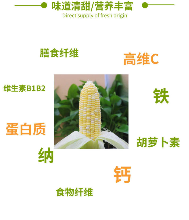甜脆水果玉米新鲜现摘整箱包邮即食生玉米棒退了包邮。