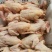【纯粮食】白条鸽现杀现卖5两至9两任你选全场惊爆价