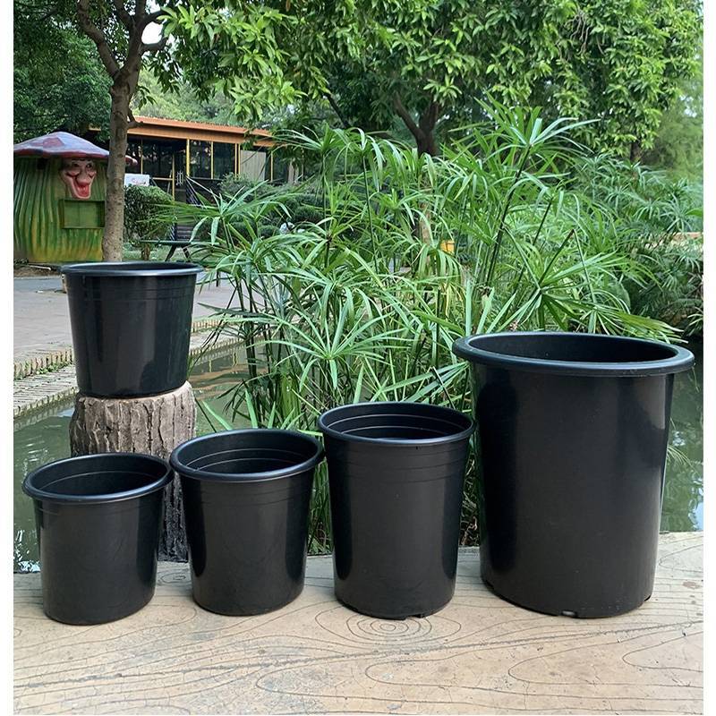 加仑盆厂家直销量大从优，郑州发货，质量优加