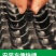 夏佳园艺大量供控根器，厂家直销量大从优郑州发货，质量优加