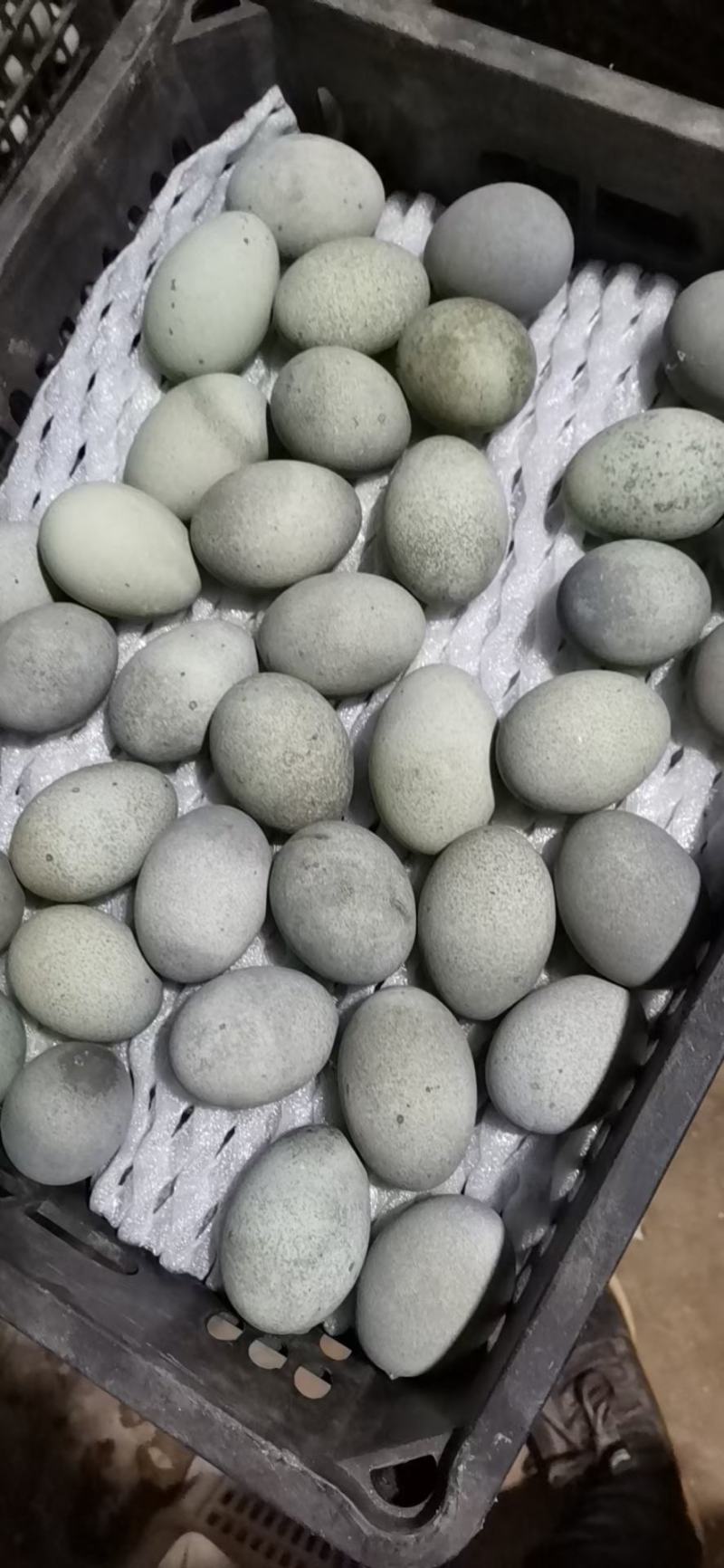 松花蛋批发！全国发货。现货秒发。10年老店值得信任。。。