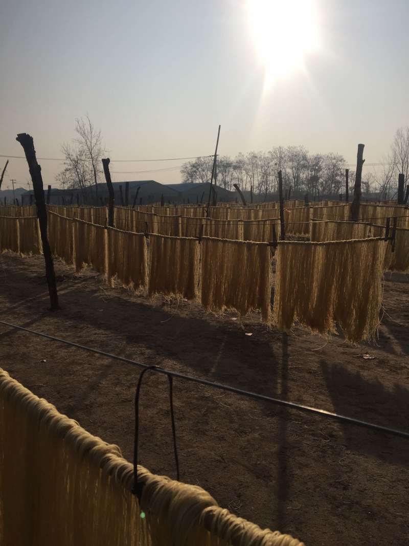 山东红薯粉条，一手货源，厂家直销批发零售均可