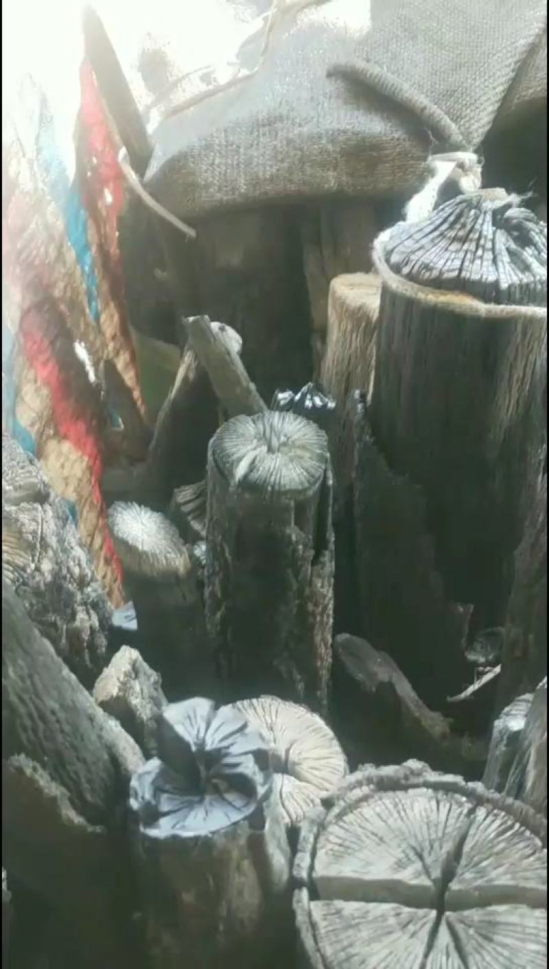 栎木菊花黑炭！可大量供货！袋装！长期供应