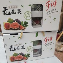 【新鲜】无花果波姬红反季节鲜果产地直供波姬红无花果