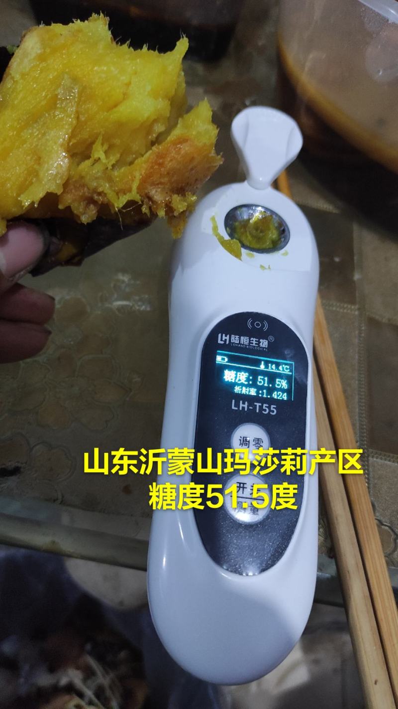 日本玛莎莉红薯黄金薯高甜度蜜薯预售2021年红薯苗