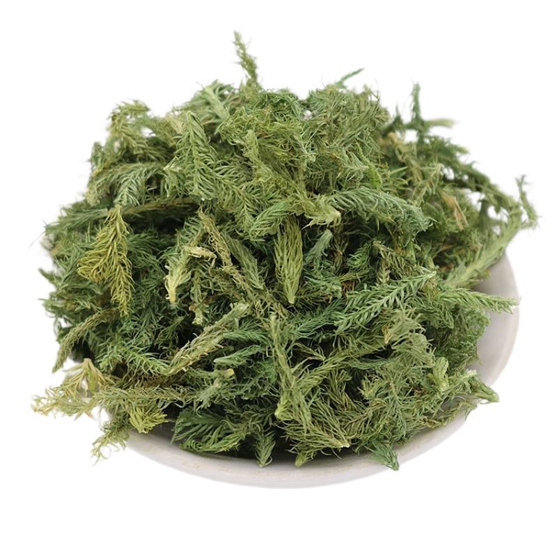 包邮伸筋草500g克无硫中药材野生舒筋草狮子草伸筋