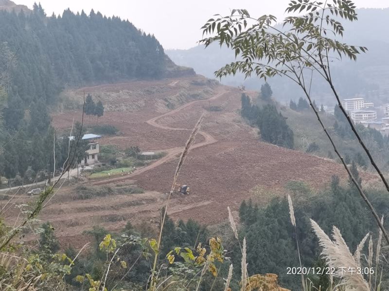 招租可种毛豆儿菜等熟菜，交通水源方便可修建养殖场，可分租