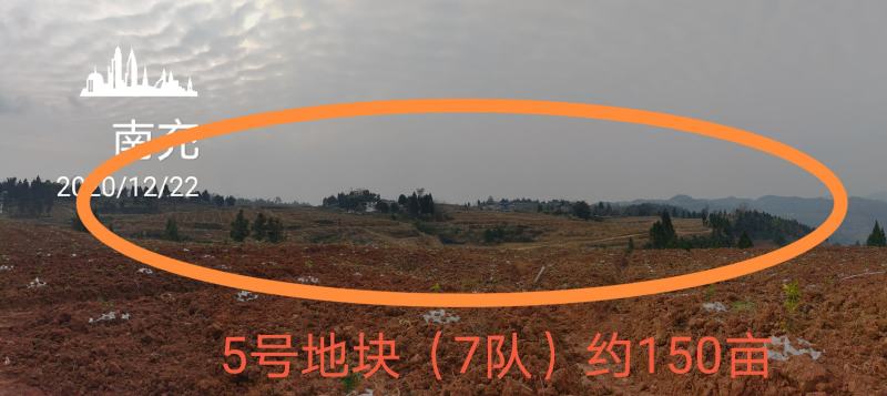 招租可种毛豆儿菜等熟菜，交通水源方便可修建养殖场，可分租