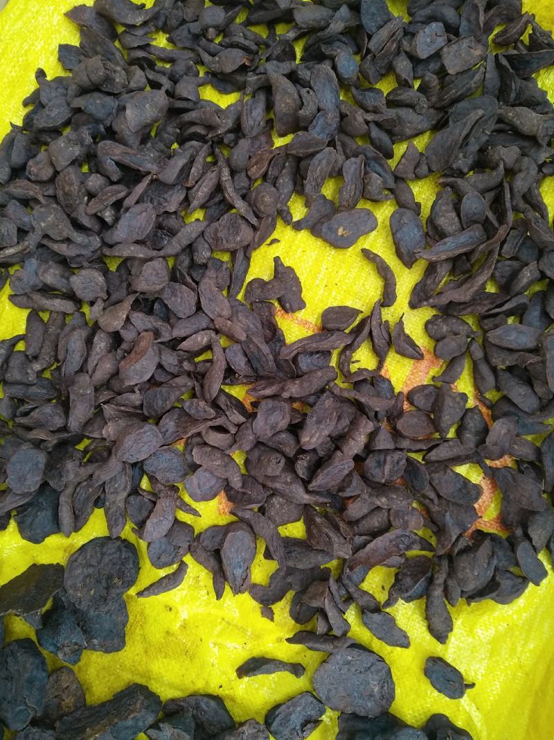 荷首乌（干片）自种，九蒸十晒