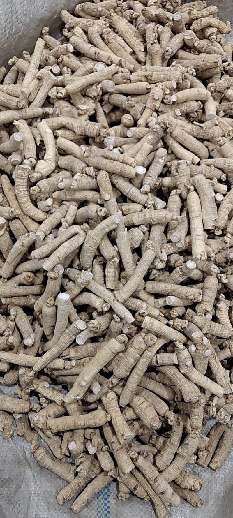 西洋参产地直销规格齐全视频看货一首货源