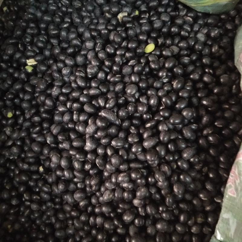 包邮黑豆500g克无硫中药材绿芯黑大豆乌豆黑豆茶生熟