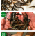 【厂家直销】台湾泥鳅苗泥鳅鱼苗泥鳅水花不钻泥的泥鳅