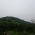 高山春见耙耙柑以上市，果品大，皮张细，味道纯甜