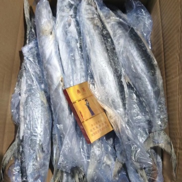 残鲅鱼批发，欢迎买货