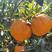 美味多汁甘甜大理宾川柑橘（碰柑），高品质，产地直发，批发