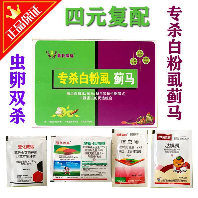 专杀白粉虱蓟马茄子黄瓜西红柿蚜虫杀虫剂农药专用