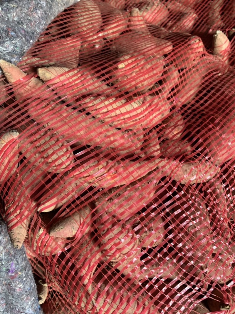 西瓜红红薯，商品红薯整车批发，