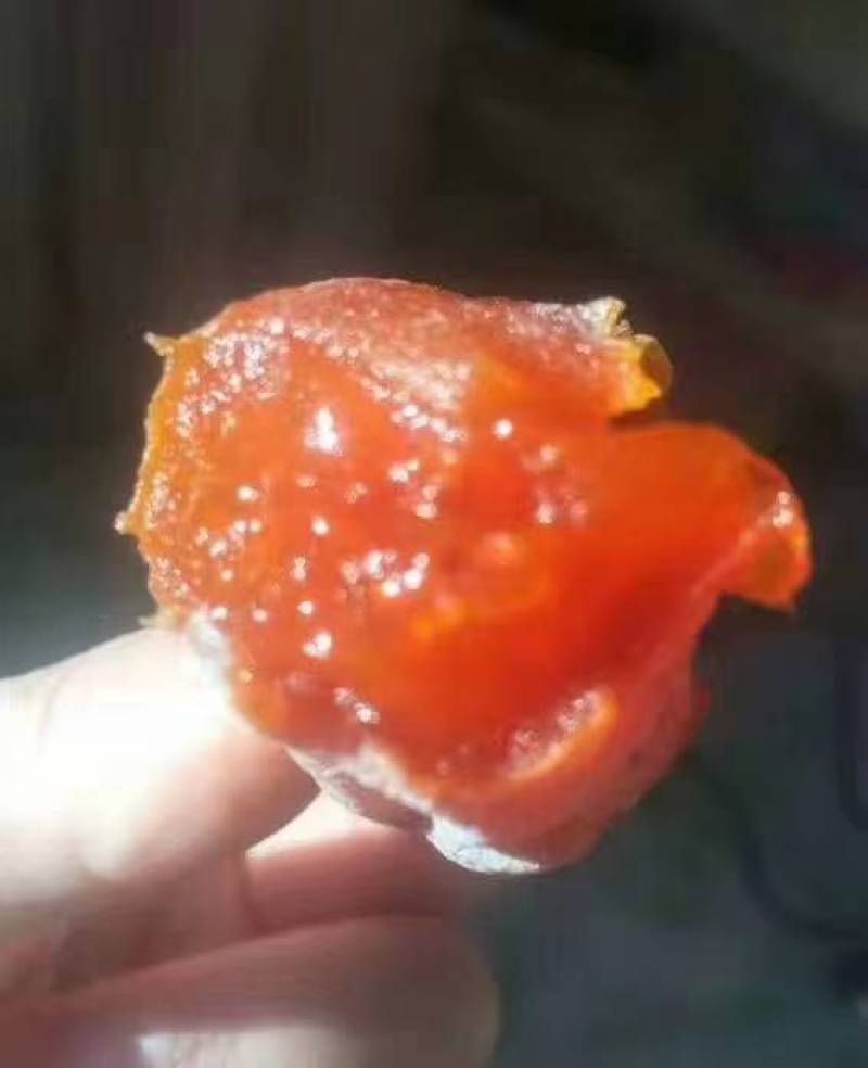富平柿饼：诚招全国代理