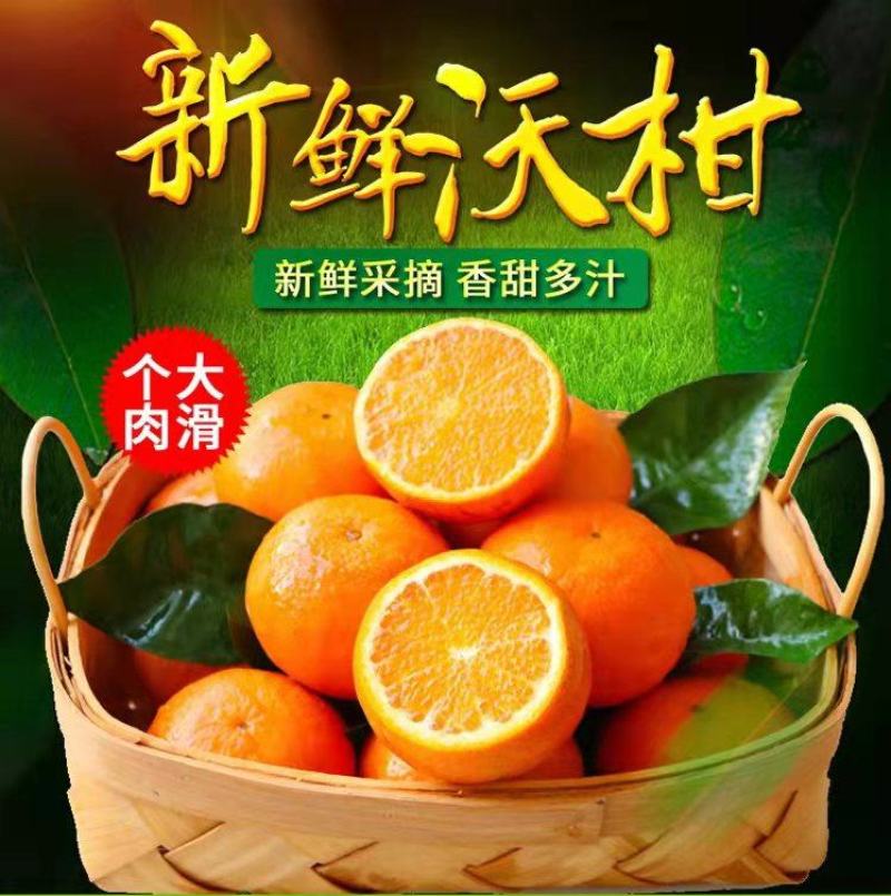 全国一件代发云南高原沃柑当季水果现采现发