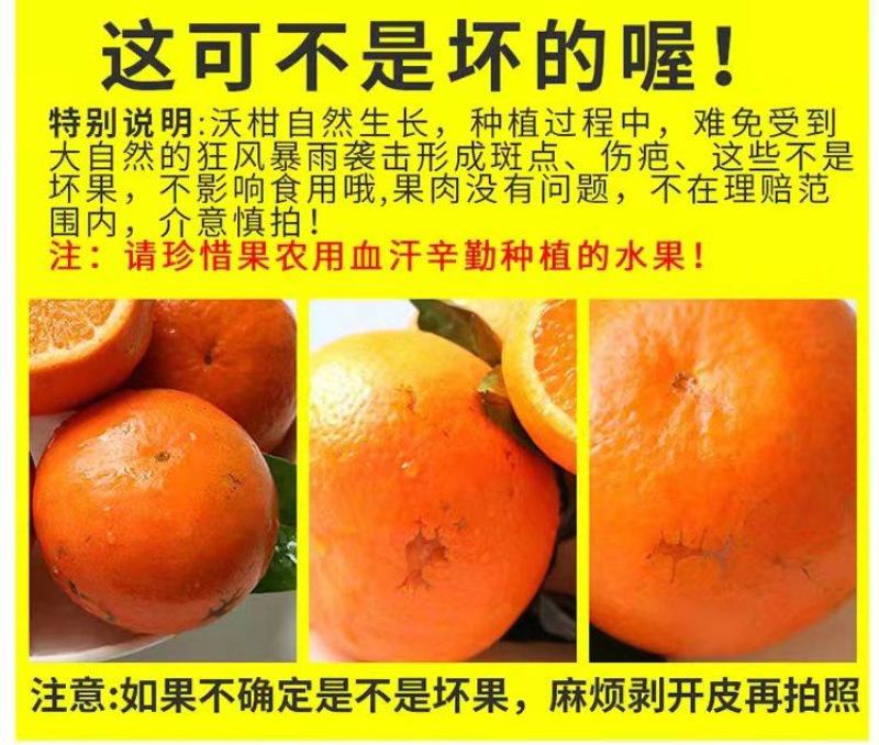 全国一件代发云南高原沃柑当季水果现采现发