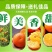 全国一件代发云南高原沃柑当季水果现采现发